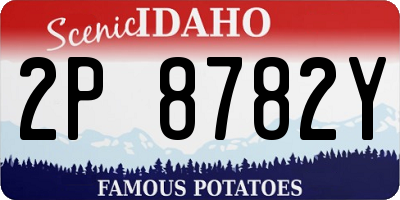 ID license plate 2P8782Y