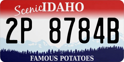 ID license plate 2P8784B