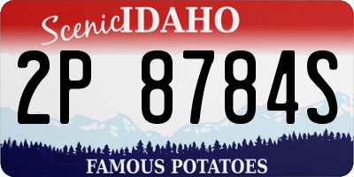 ID license plate 2P8784S
