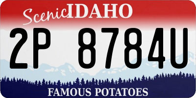 ID license plate 2P8784U