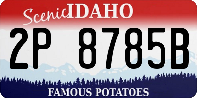 ID license plate 2P8785B