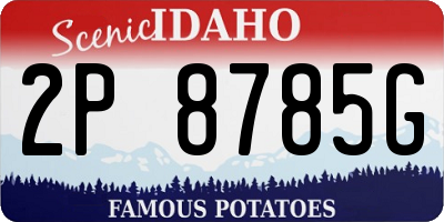 ID license plate 2P8785G
