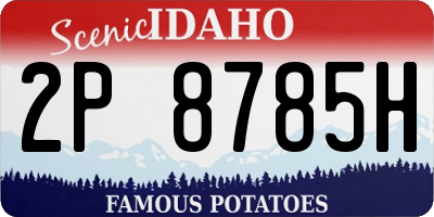 ID license plate 2P8785H