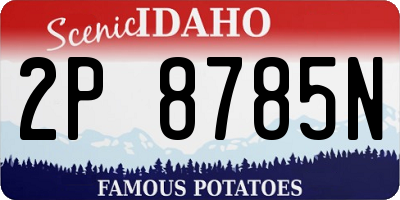 ID license plate 2P8785N