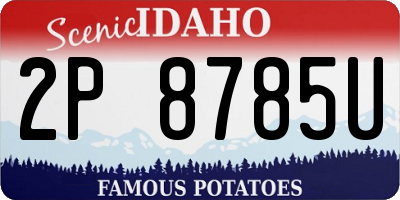 ID license plate 2P8785U