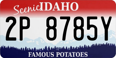 ID license plate 2P8785Y