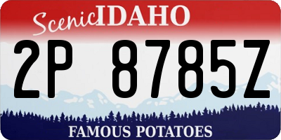 ID license plate 2P8785Z