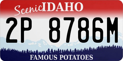 ID license plate 2P8786M