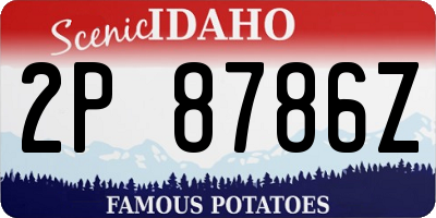 ID license plate 2P8786Z