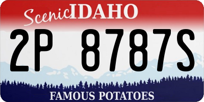 ID license plate 2P8787S