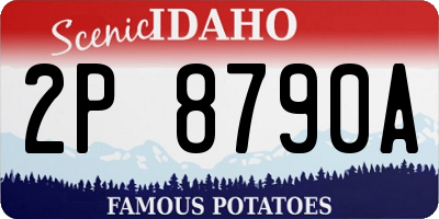ID license plate 2P8790A