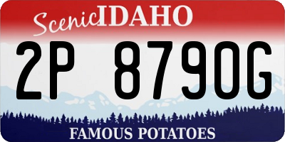ID license plate 2P8790G