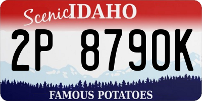 ID license plate 2P8790K