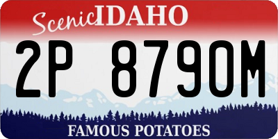 ID license plate 2P8790M