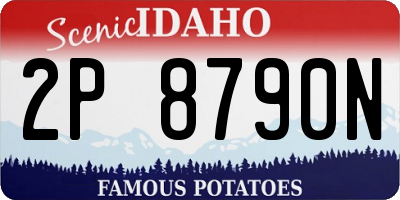 ID license plate 2P8790N