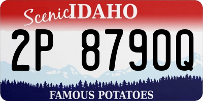 ID license plate 2P8790Q