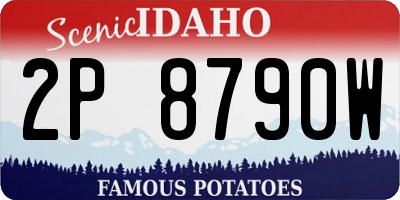ID license plate 2P8790W