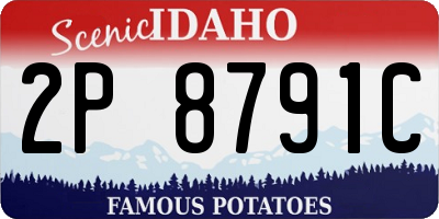 ID license plate 2P8791C