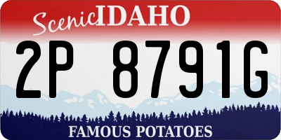 ID license plate 2P8791G