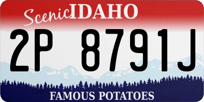 ID license plate 2P8791J