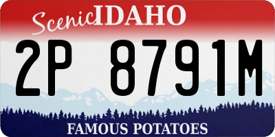 ID license plate 2P8791M