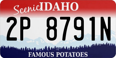 ID license plate 2P8791N