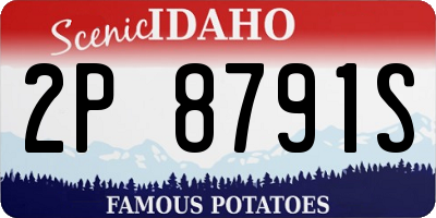 ID license plate 2P8791S