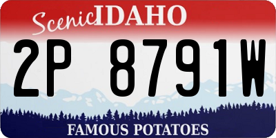 ID license plate 2P8791W