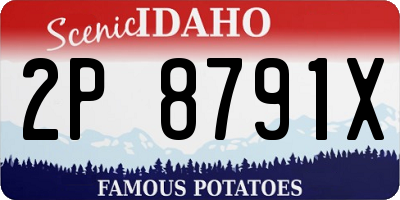 ID license plate 2P8791X