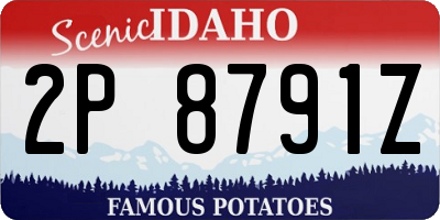 ID license plate 2P8791Z