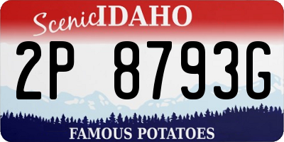 ID license plate 2P8793G