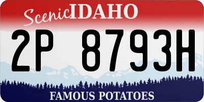 ID license plate 2P8793H
