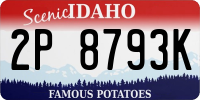 ID license plate 2P8793K