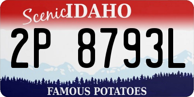 ID license plate 2P8793L