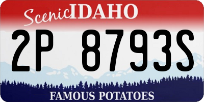 ID license plate 2P8793S