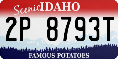 ID license plate 2P8793T