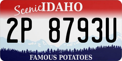 ID license plate 2P8793U