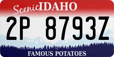 ID license plate 2P8793Z