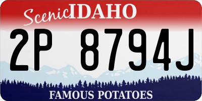 ID license plate 2P8794J