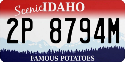 ID license plate 2P8794M