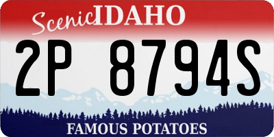 ID license plate 2P8794S
