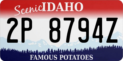 ID license plate 2P8794Z
