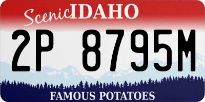 ID license plate 2P8795M