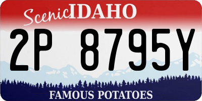 ID license plate 2P8795Y