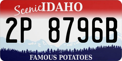 ID license plate 2P8796B