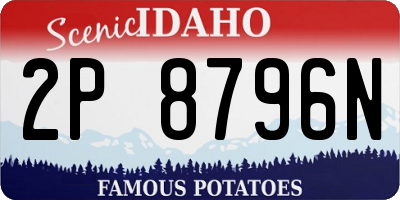 ID license plate 2P8796N