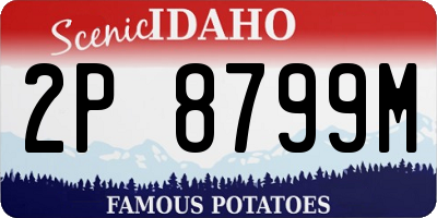ID license plate 2P8799M