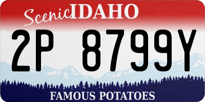 ID license plate 2P8799Y