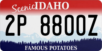 ID license plate 2P8800Z