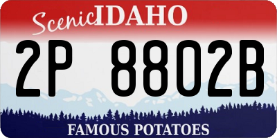 ID license plate 2P8802B